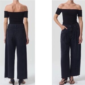 NWT AGOLDE DAGNA Jeans Raw Hem High Rise Baggy Pleated DREAD size 34 NEW